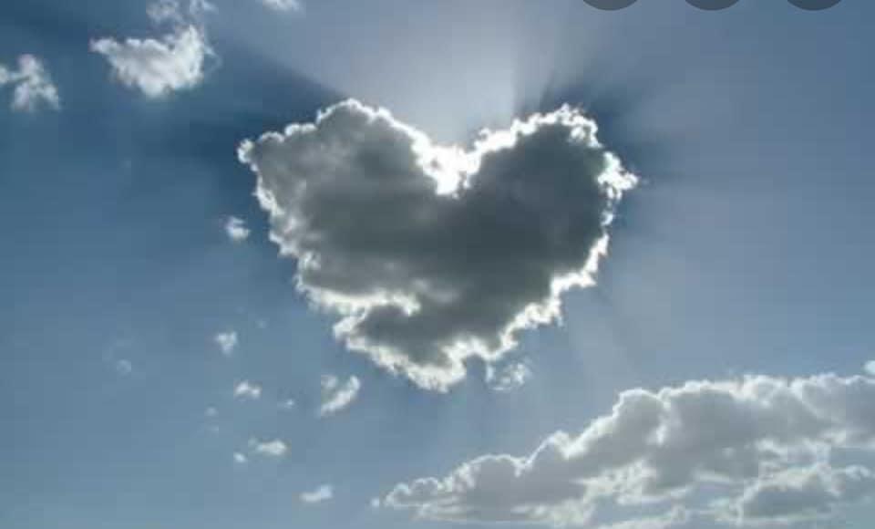 This image has an empty alt attribute; its file name is img_2481.jpg